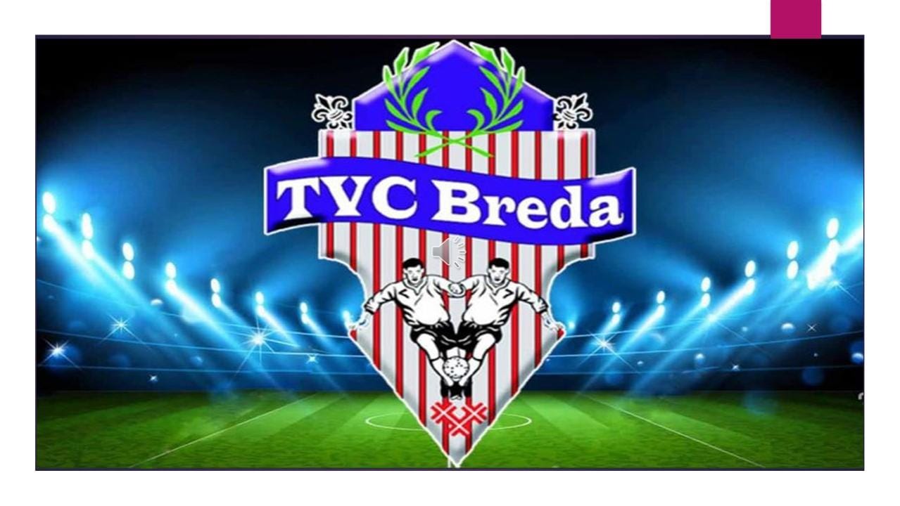 sport-bso-flekss-tvc-breda